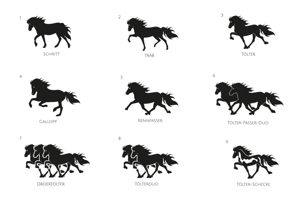 Sticker Icelandic horses gaits Vinyl reflective